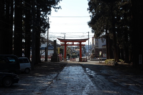 Another torii gate!