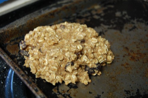 oatmeal raisin breakfast cookie