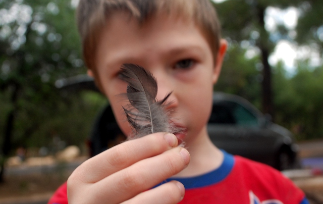 Max's feather