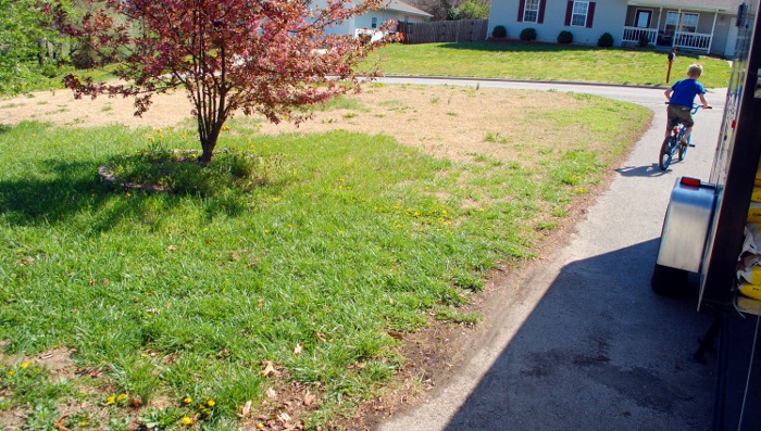 Before: a patch of patchy lawn.