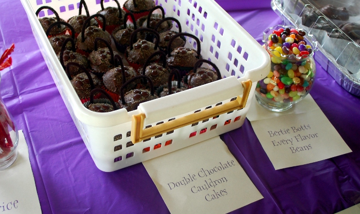 Harry Potter Party - Double Chocolate Cauldron Cakes and Bertie Bott's Every Flavor Bean